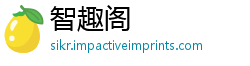 智趣阁